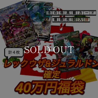 【注文用】☆レックウザ&ジュラルドン確定福袋☆