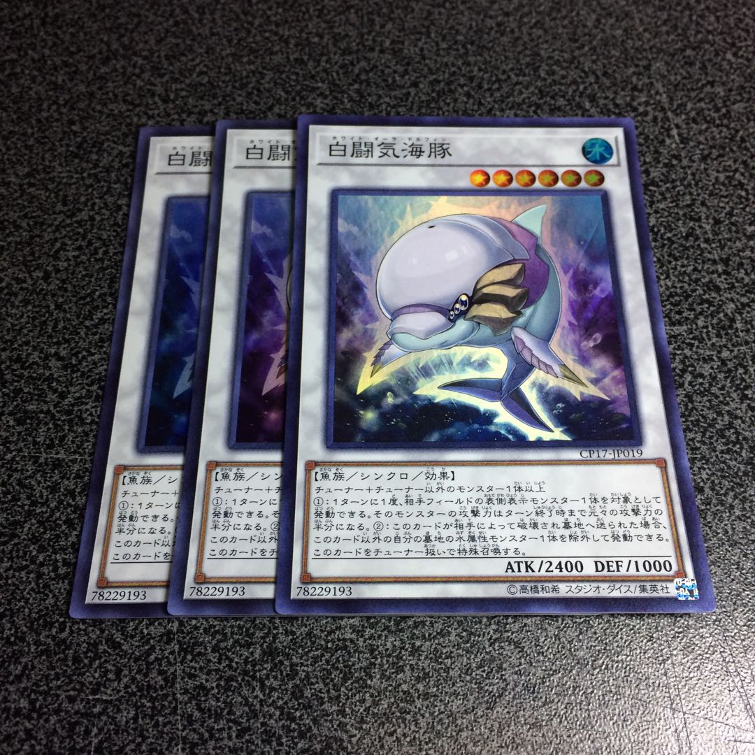 白闘気海豚【SR】