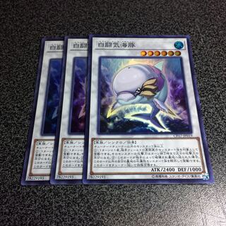 白闘気海豚【SR】