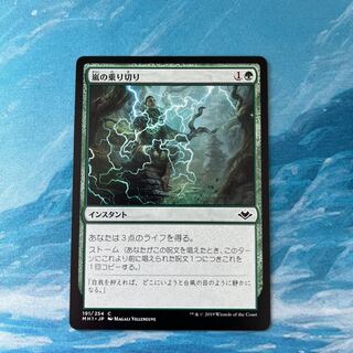 MTG 嵐の乗り切り 1枚