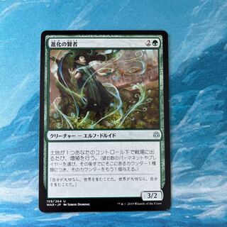 MTG 進化の賢者 1枚