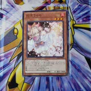 灰流うらら ノーマル JP014