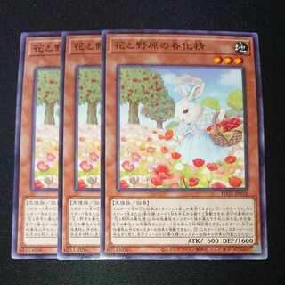 CST103 花と野原の春化精 N3枚