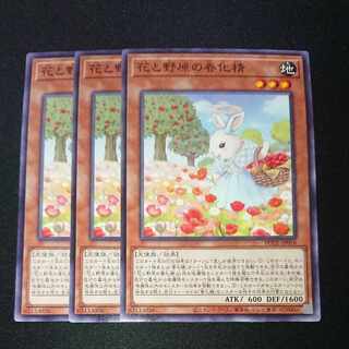 CST104 花と野原の春化精 N3枚