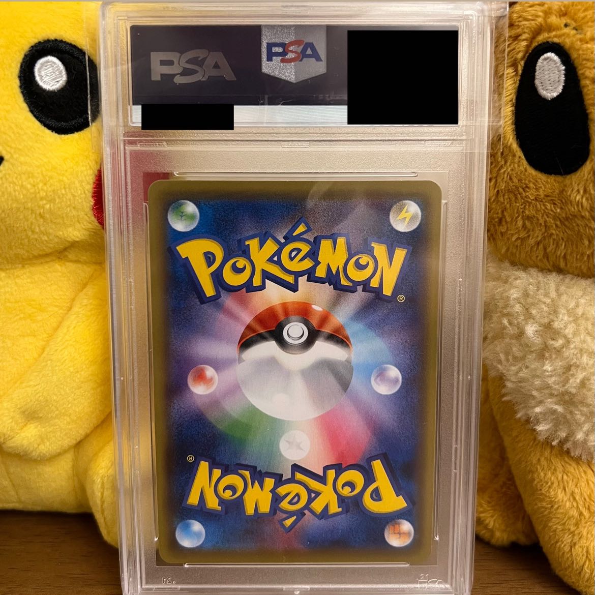 【PSA10】カトレア SR