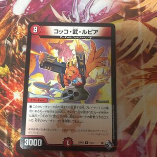 Cocco Bu Lupia R 19/74