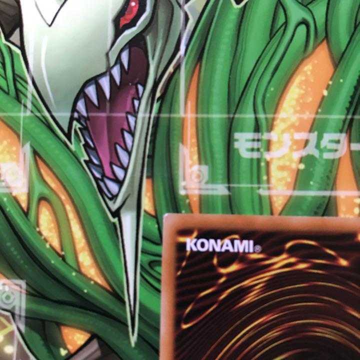 みそきん食いたい　エルフの剣士　RED