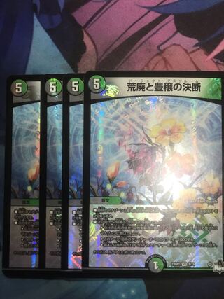 荒廃と豊穣の決断 VR 8/74