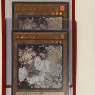 灰流うらら　2枚セット