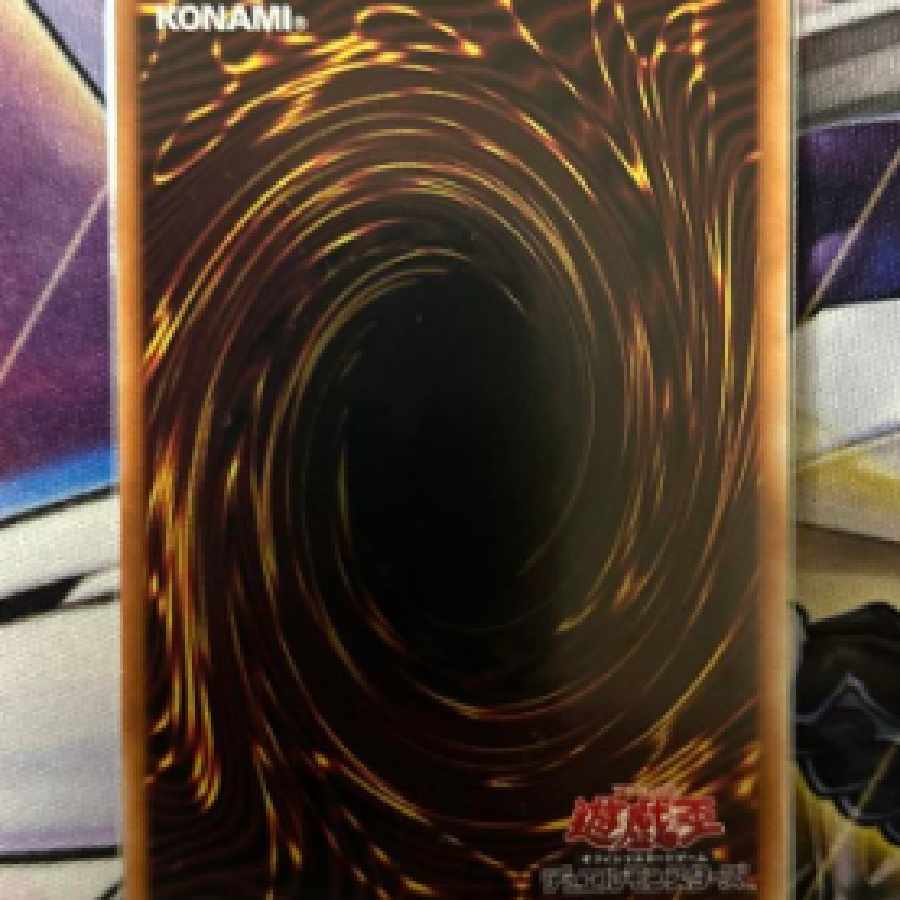 イビリチュアネーレイマナス プリシク