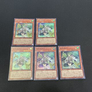 遊戯王　レアコレ　風霊媒師ウィン