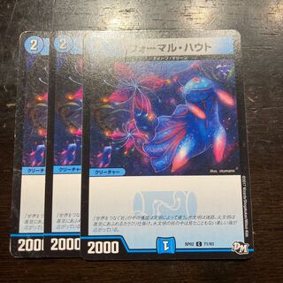 フォーマル・ハウト C 71/93