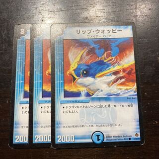 リップ・ウォッピー C 41/55/Y5