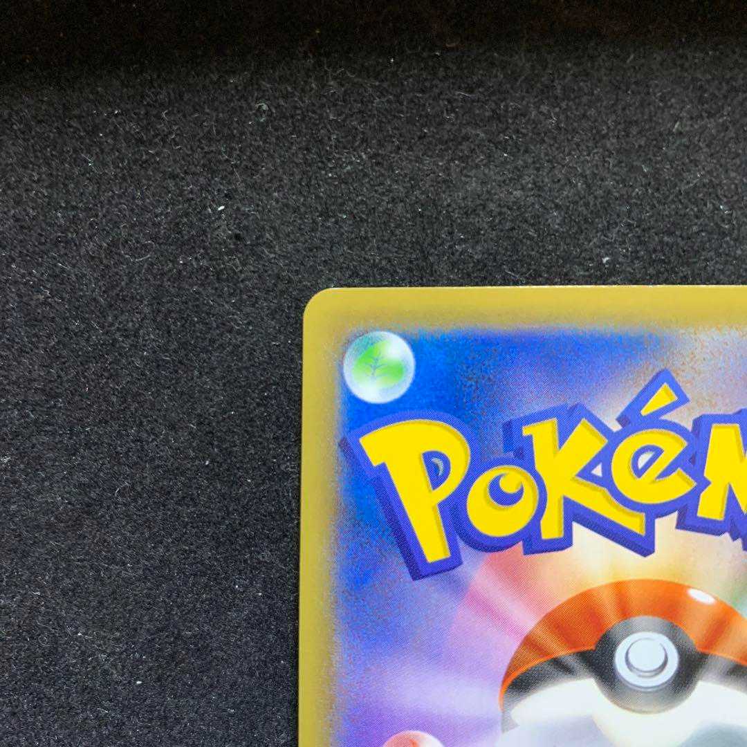 インテレオン VMAX SR SA