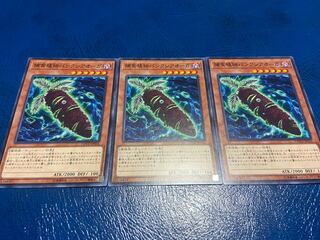 【TAKUMI】捕食植物パンクシアオーガ ノーマル 3枚　あ-478