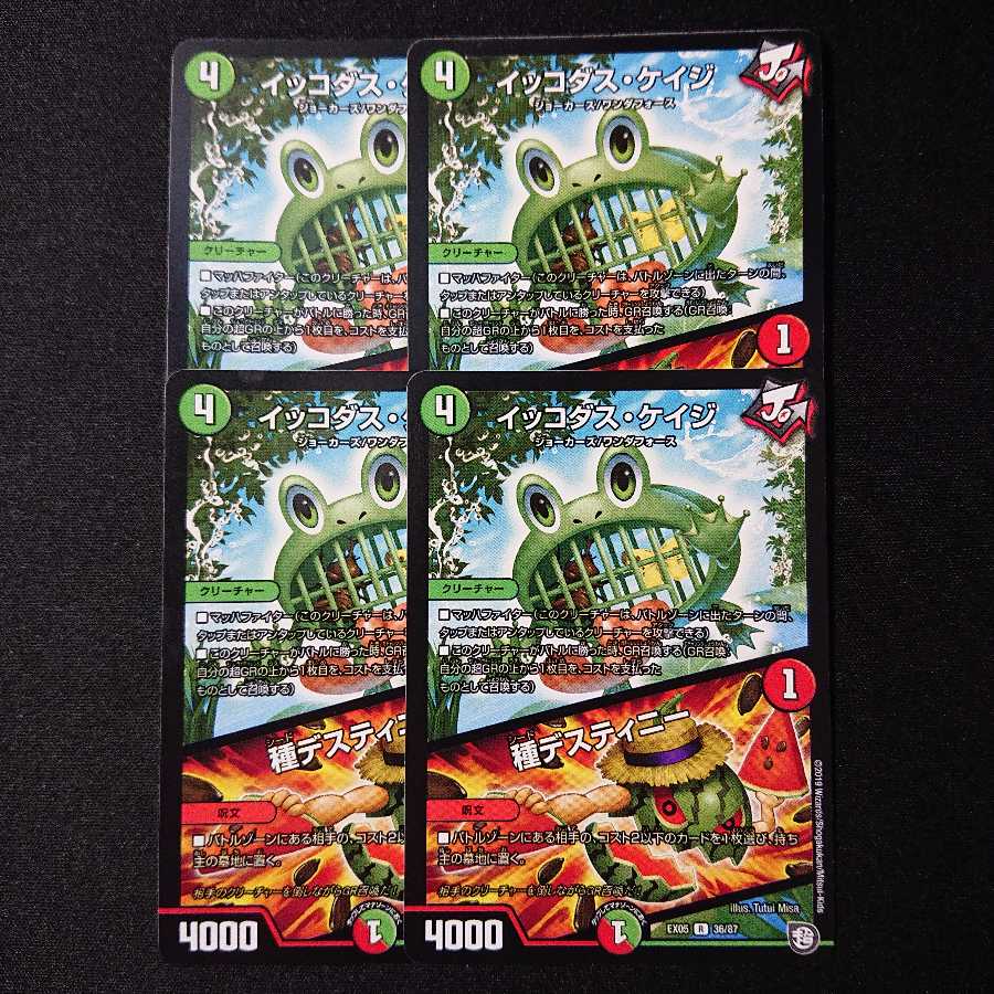 イッコダス・ケイジ/種デスティニー