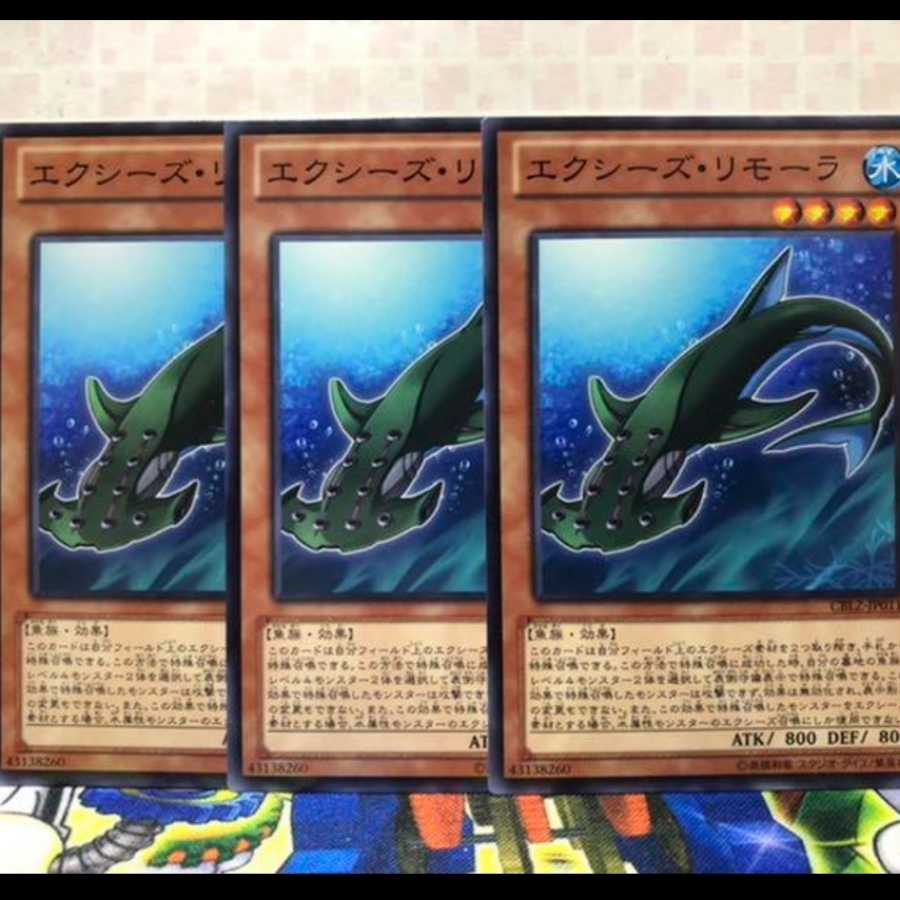 エクシーズリモーラ 3枚