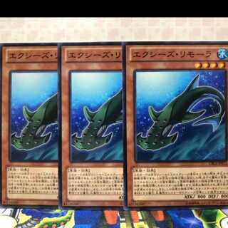 エクシーズリモーラ　3枚