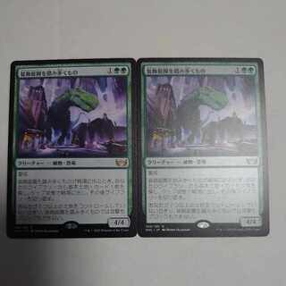 What to Tread in Decorative Gardens, set of 2