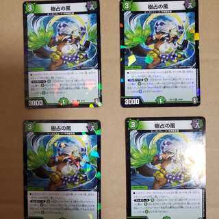 樹占の風　パラレル版