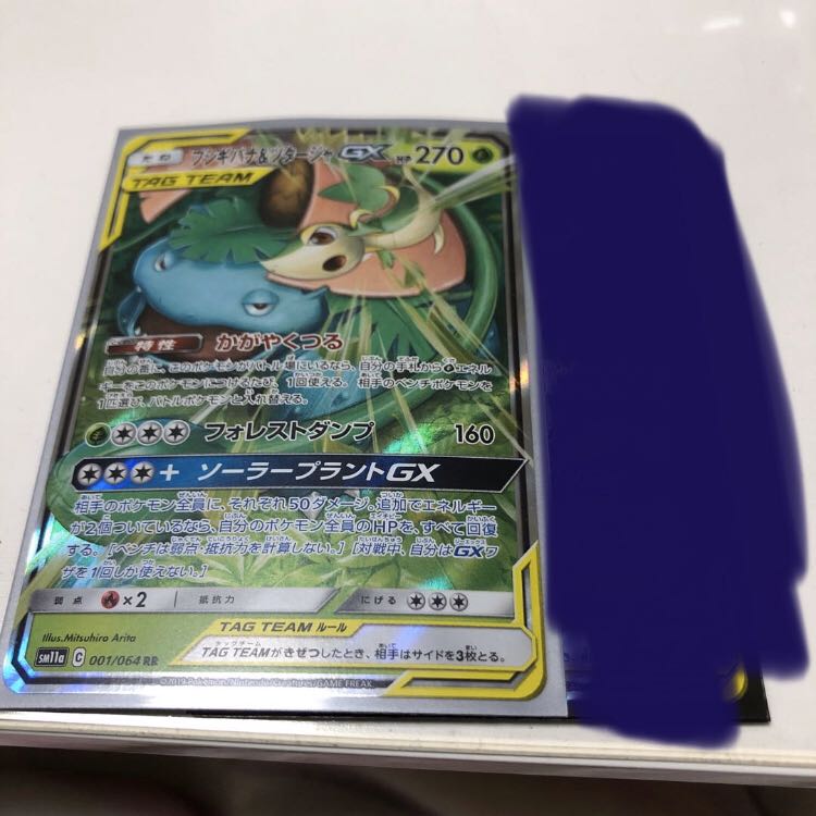 フシギバナ&ツタージャGX 001/064 RR 1枚