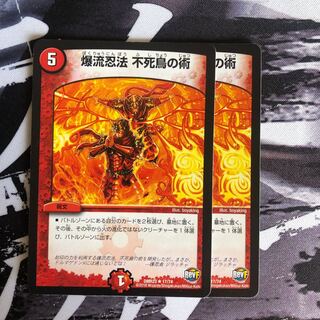 爆流忍法　不死鳥の術