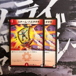 スチームハエタタキ