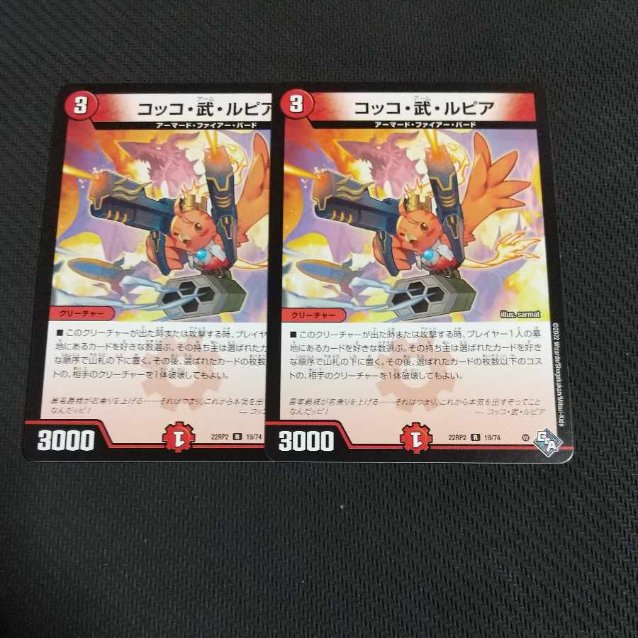 Cocco Bu Lupia R 19/74