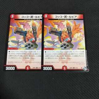 Cocco Bu Lupia R 19/74