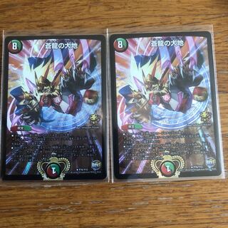 蒼龍の大地2枚セット