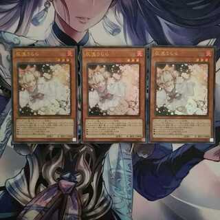 灰流うらら ウルトラ 3枚セット