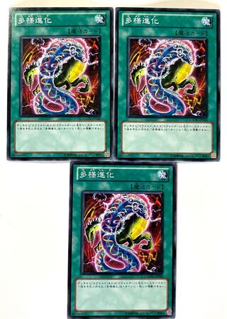 多様進化【ノーマル 】JP058