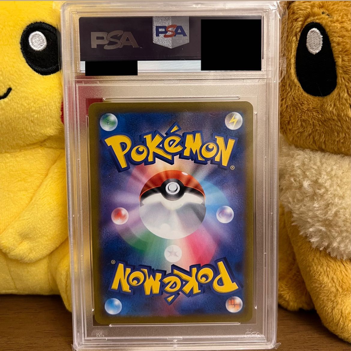 【PSA10】ナタネの活気 SR