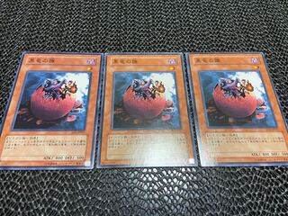 【TAKUMI】黒竜の雛 ノーマル 3枚　あ-553