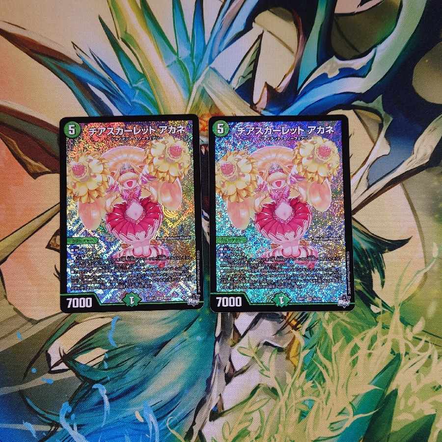 チアスカーレット アカネ SR S8/S8