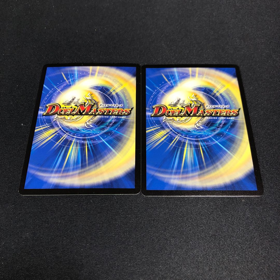 闘争類拳嘩目 ステゴロ・カイザー｜お清めシャラップ R 41/110