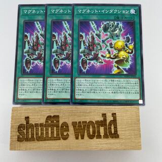 Magnet Induction 295