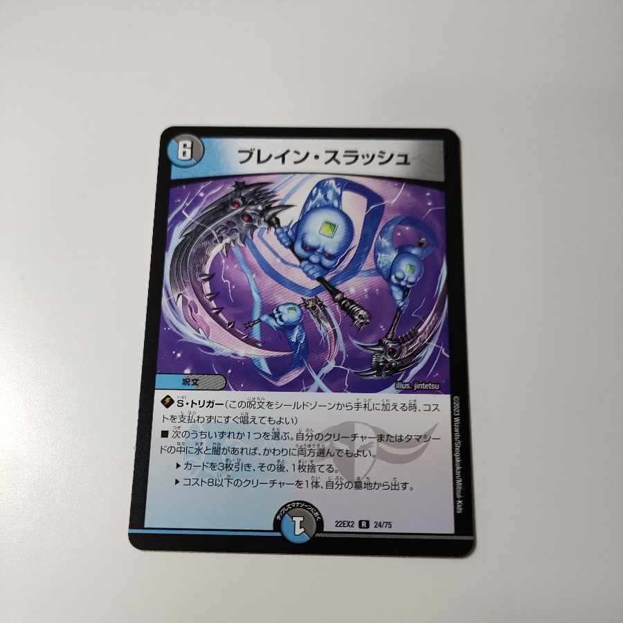 ブレイン・スラッシュ R 24/75