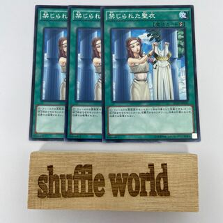 禁じられた聖衣 307