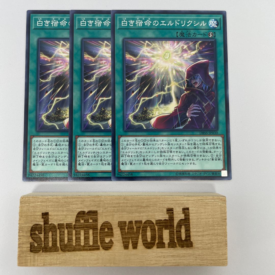 白き宿命のエルドリクシル 310