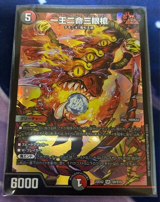 一王二命三眼槍 SR S9/S15