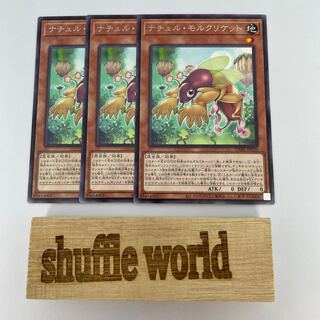 Natur Mole Cricket 316