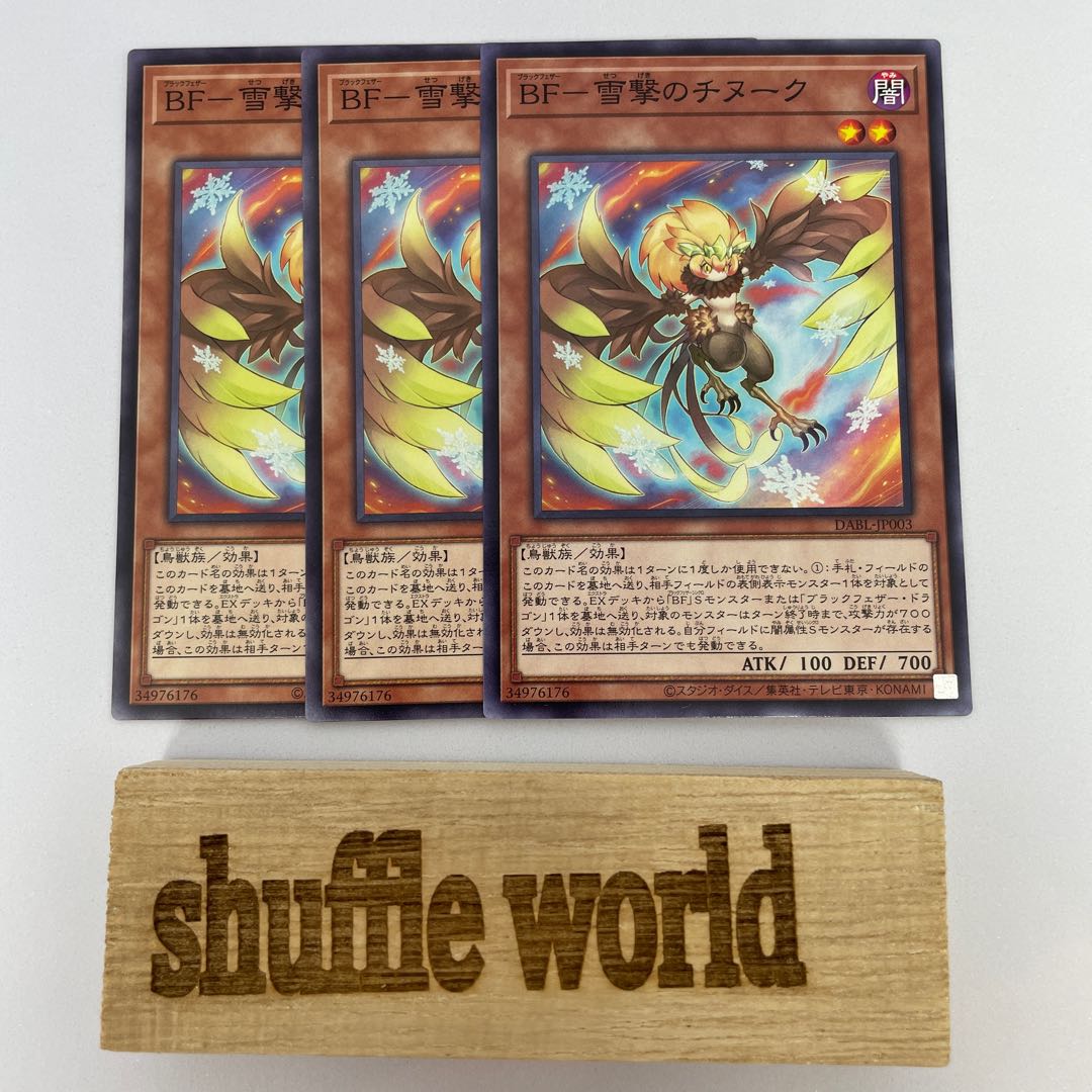 BF-Snow Shooting Chinook 317