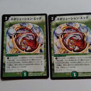 エボリューションエッグ　2枚セット