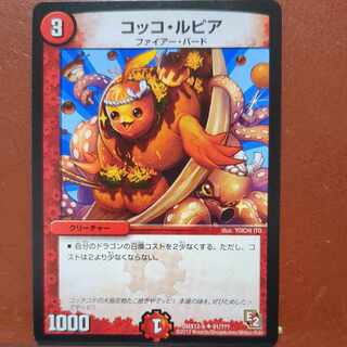 etf2893 set discount Cocco Lupia U 91/?