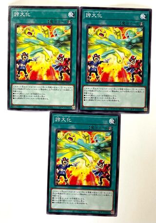 誇大化 【ノーマル】JP065