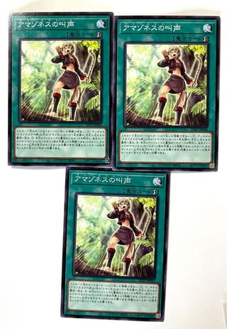 アマゾネスの叫声【ノーマル】JP045