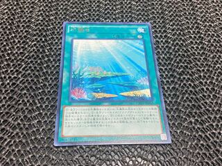 【TAKUMI】水舞台 レア あ-629