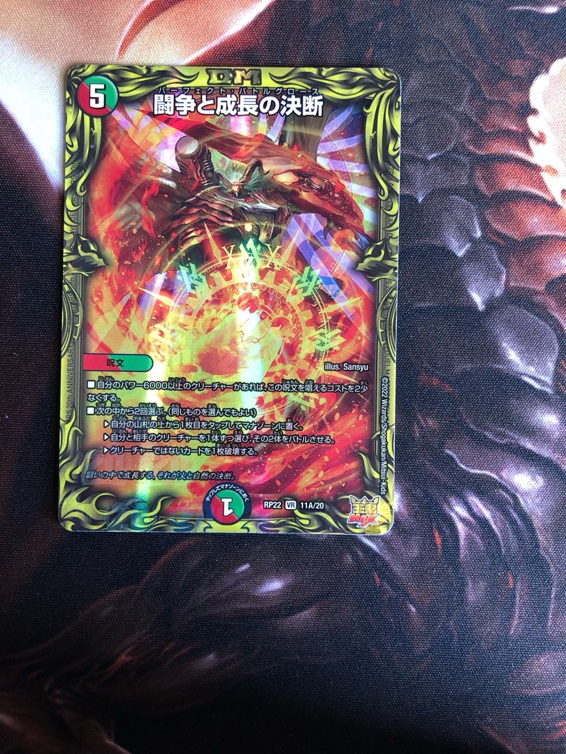 Fighting Conflict and Growth Decisions