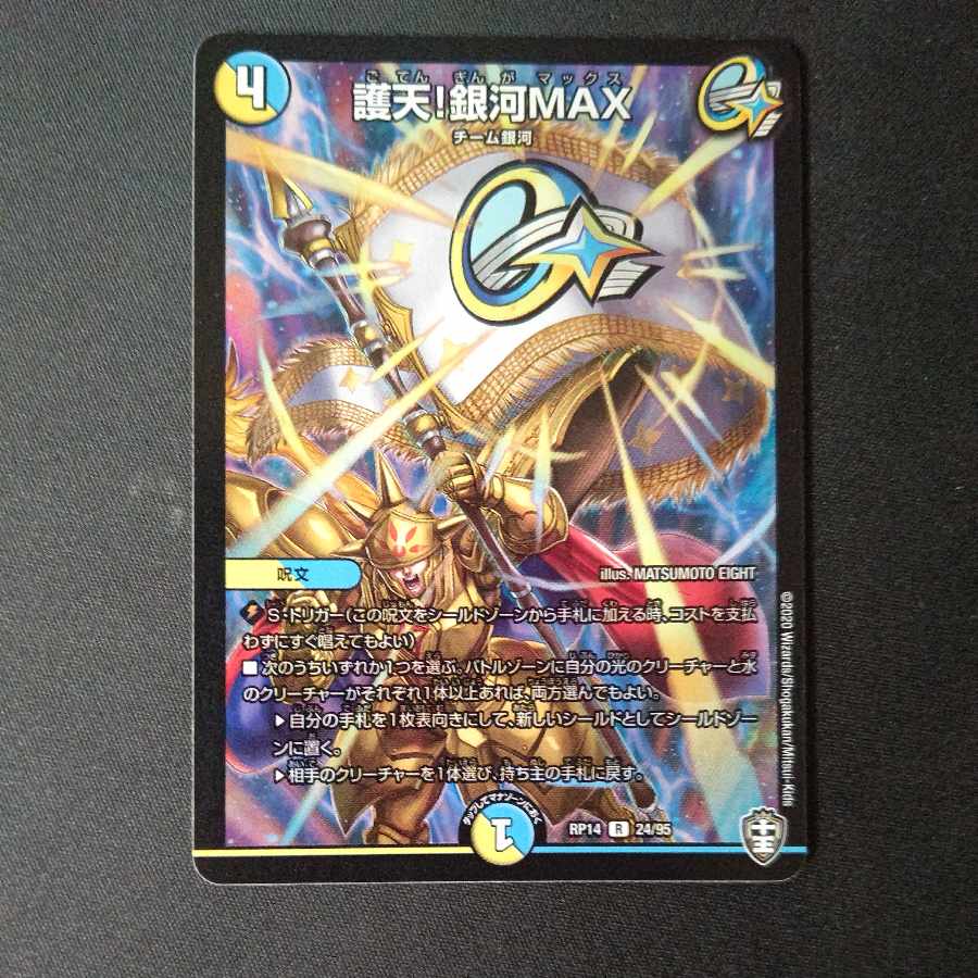 Proten! Ginga MAX R 24/95